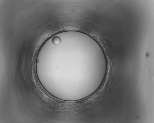 X0000114680145200910211039