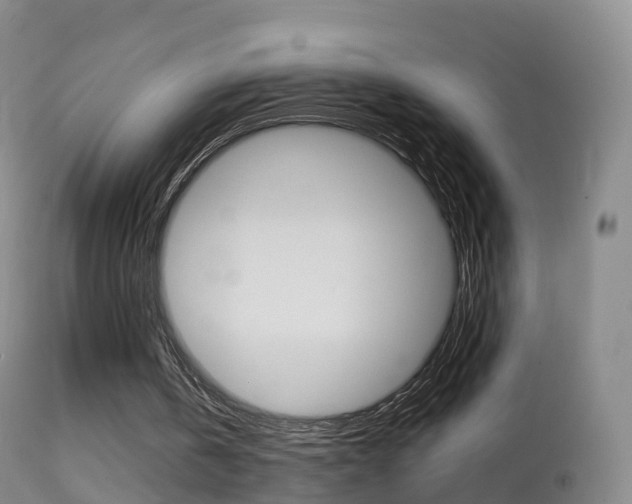 X0000114680146200910211039