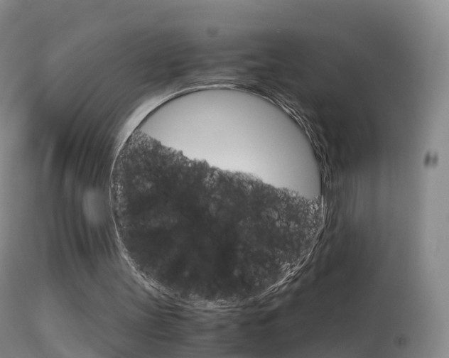 X0000114680147200910211039