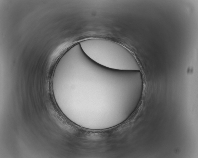 X0000114680149200910211039