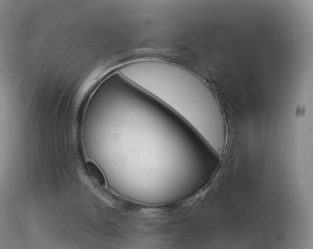 X0000114680150200910211039