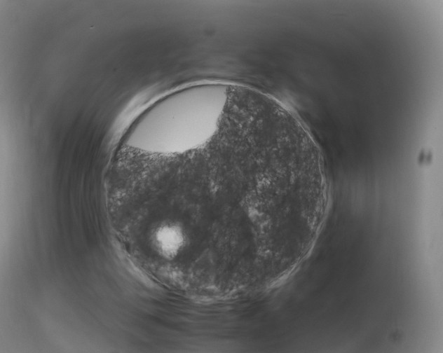 X0000114680151200910211039
