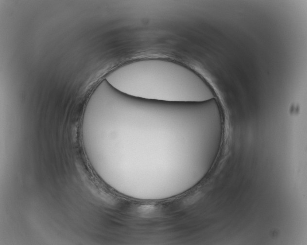 X0000114680153200910211039