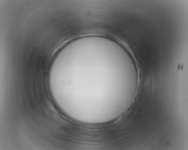X0000114680154200910211039