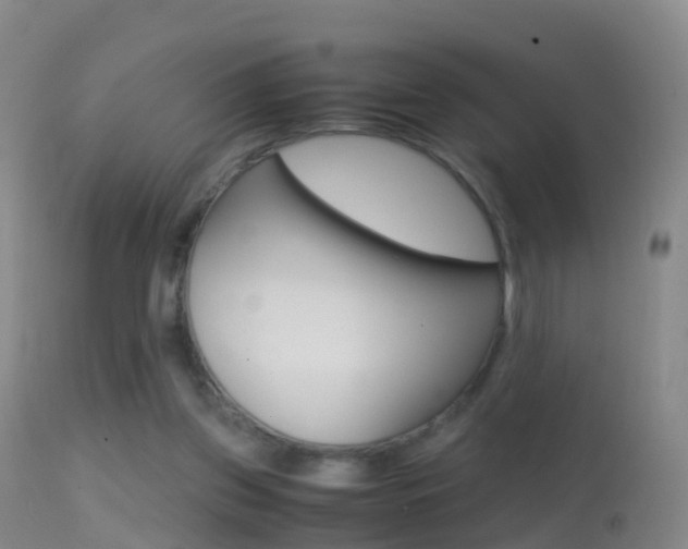 X0000114680157200910211039