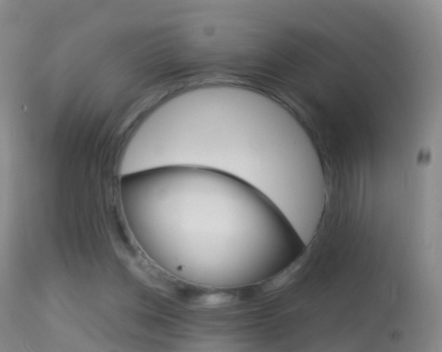 X0000114680158200910211039