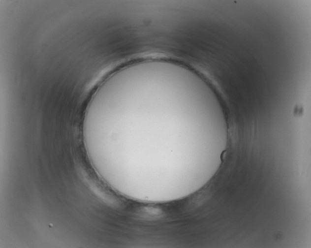 X0000114680159200910211039