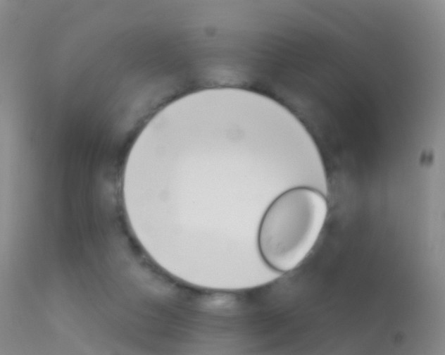 X0000114680162200910211039
