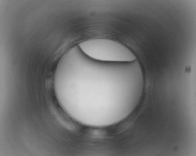 X0000114680165200910211039