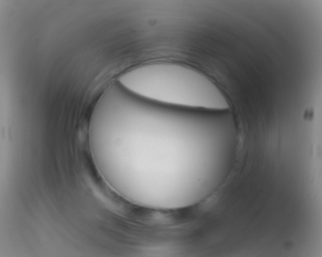 X0000114680166200910211039