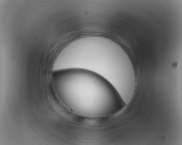 X0000114680170200910211039