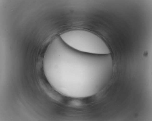 X0000114680171200910211039