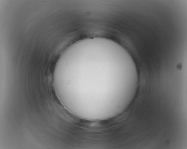 X0000114680173200910211039