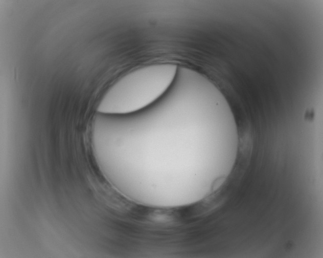 X0000114680175200910211040