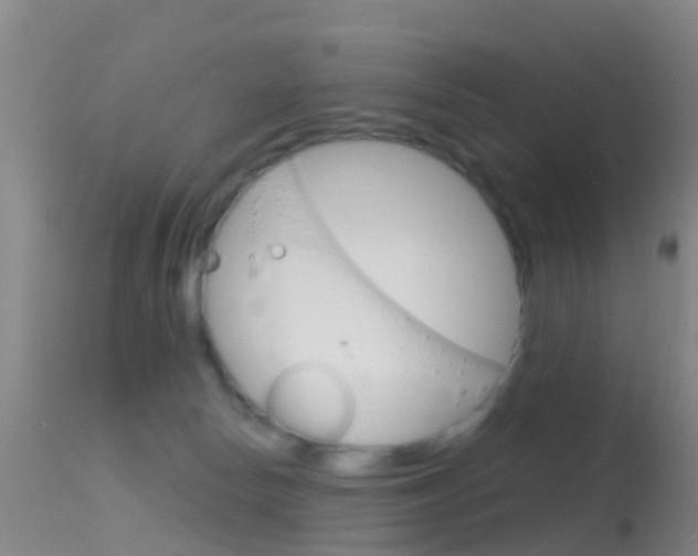 X0000114680178200910211040