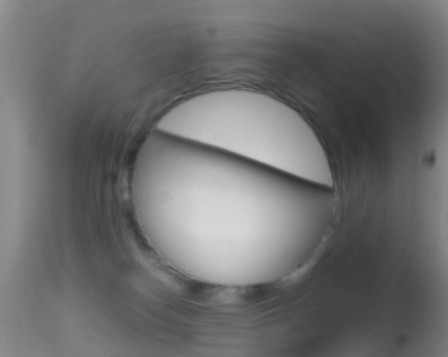 X0000114680182200910211040