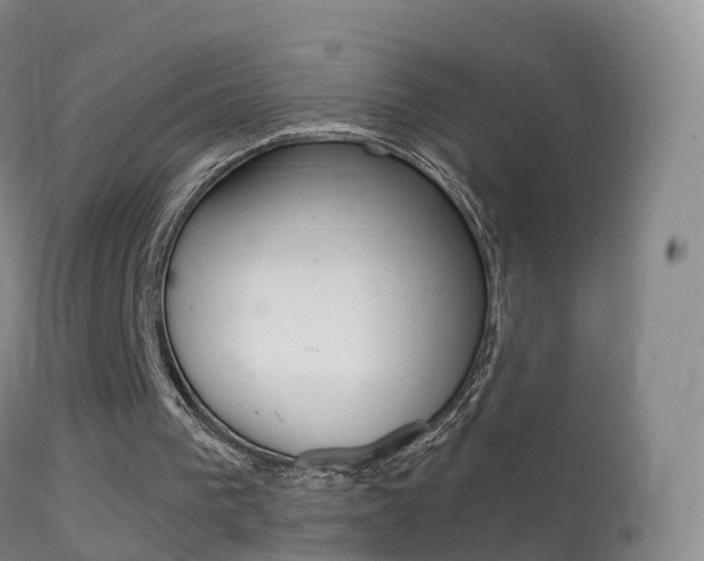 X0000114680193200910211039