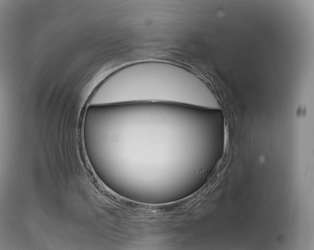 X0000114680195200910211039