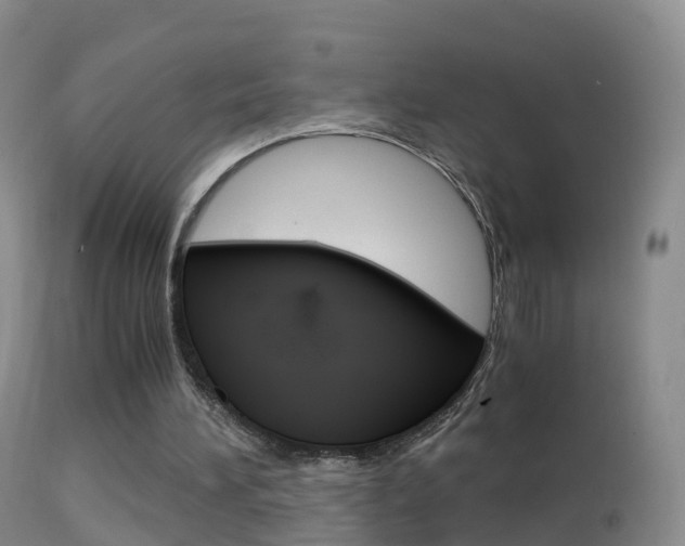 X0000114680196200910211039
