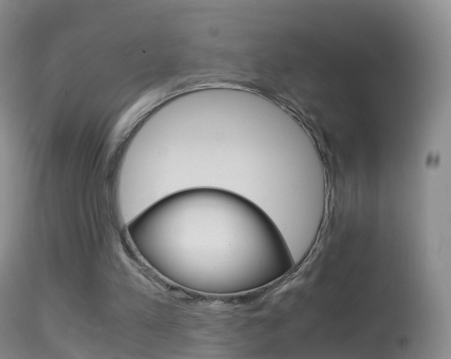 X0000114680197200910211039