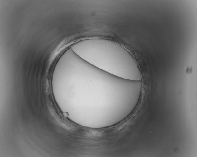 X0000114680198200910211039