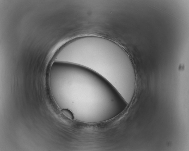 X0000114680200200910211039