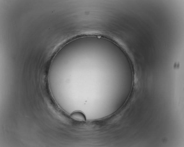 X0000114680201200910211039