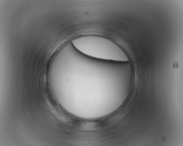 X0000114680202200910211039