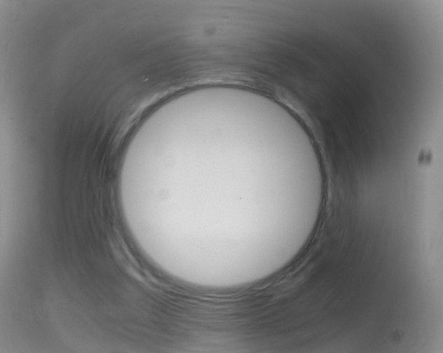 X0000114680203200910211039