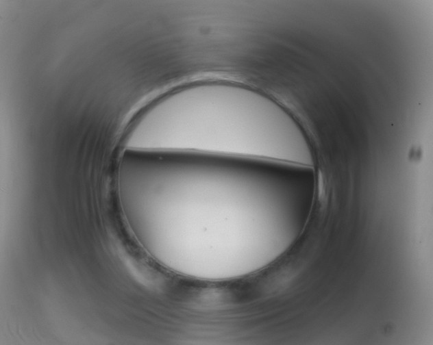 X0000114680204200910211039