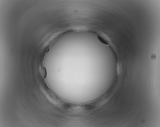X0000114680205200910211039