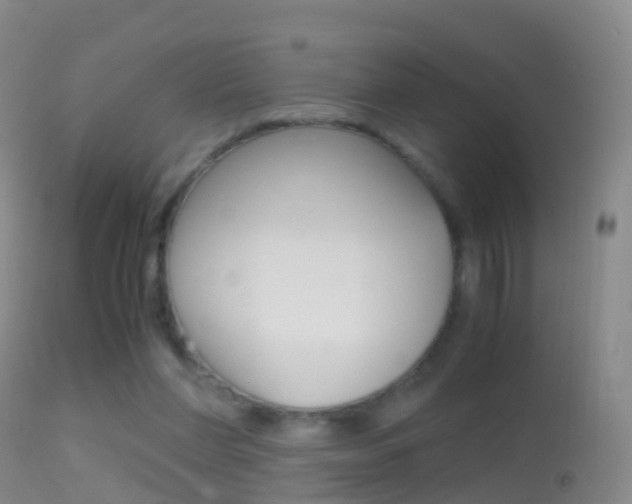 X0000114680206200910211039