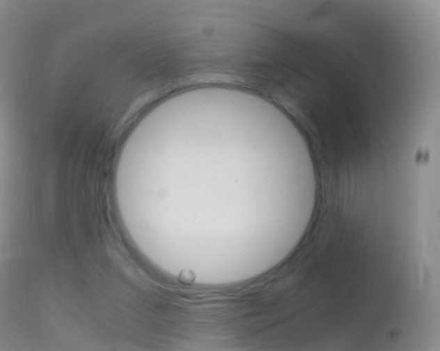 X0000114680207200910211039