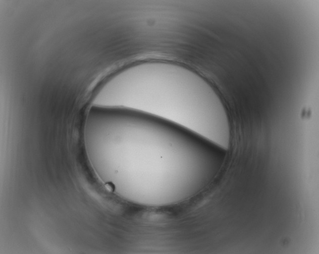 X0000114680208200910211039