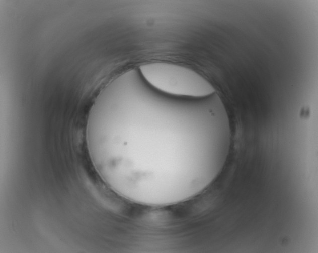 X0000114680210200910211039