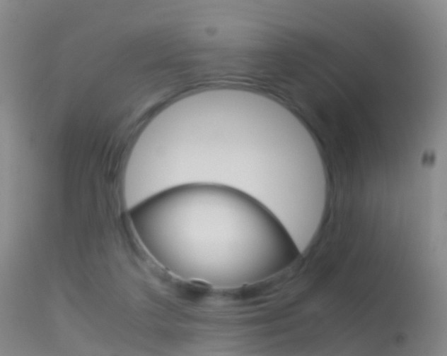 X0000114680211200910211039