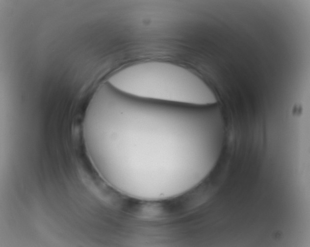 X0000114680214200910211039