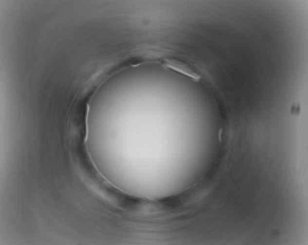 X0000114680215200910211039