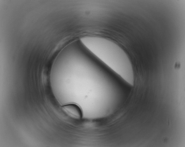 X0000114680216200910211039