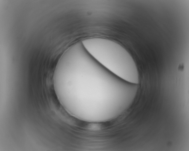 X0000114680218200910211039