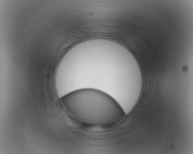 X0000114680219200910211039