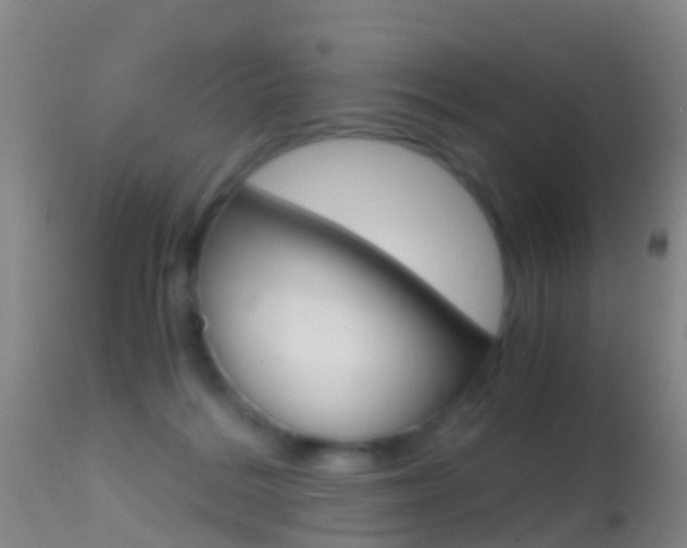 X0000114680220200910211039