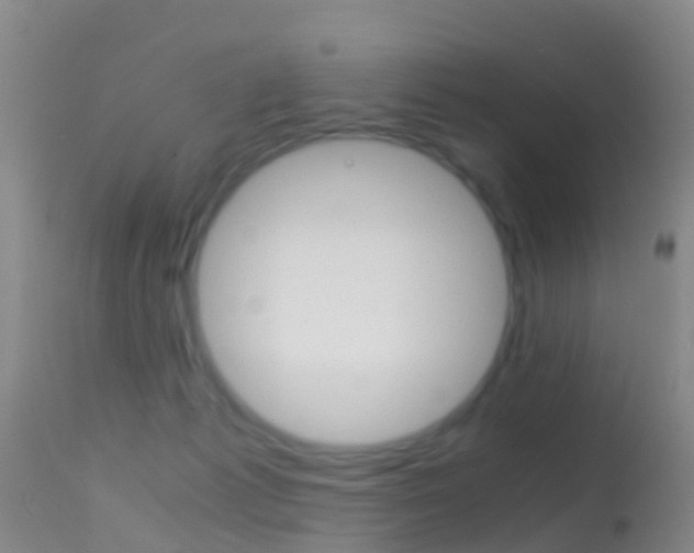 X0000114680221200910211039