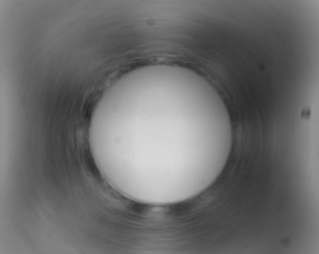 X0000114680222200910211039