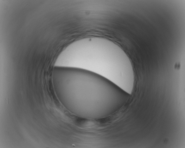 X0000114680223200910211039