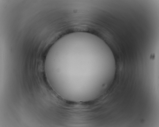 X0000114680224200910211038