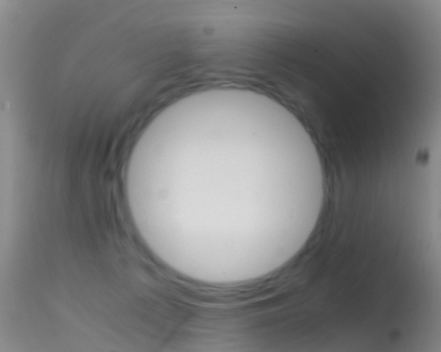 X0000114680225200910211038