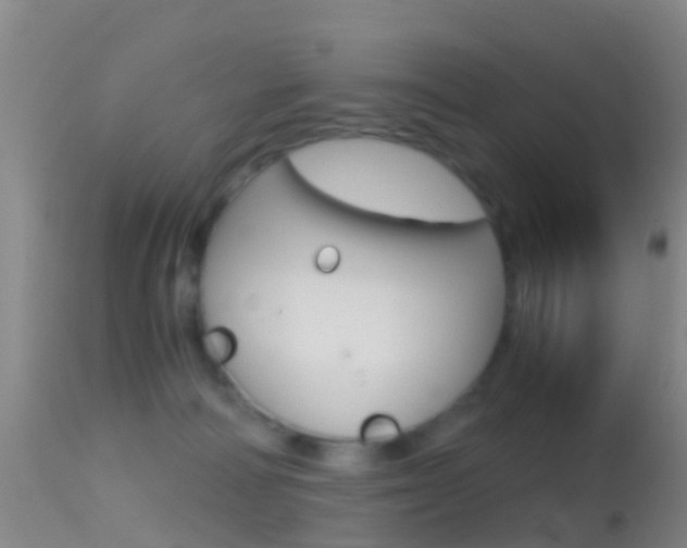 X0000114680226200910211038