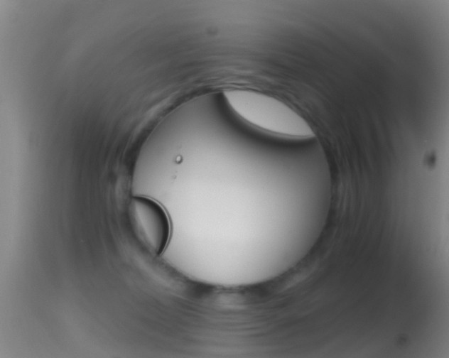 X0000114680228200910211038