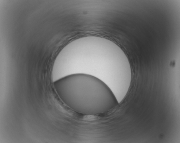 X0000114680231200910211038